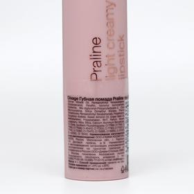 

Губная Помада Divage Praline, оттенок № 04, 4 г