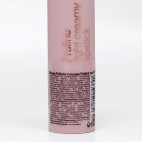 

Губная Помада Divage Praline, оттенок № 10, 4 г