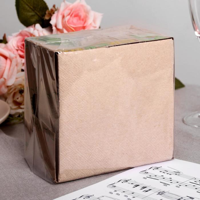 Салфетки бумажные Greena, 1 слой 100 листов 24х24