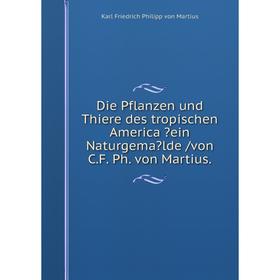 

Книга Die Pflanzen und Thiere des tropischen America ein Naturgemalde /von C.F. Ph. von Martius.