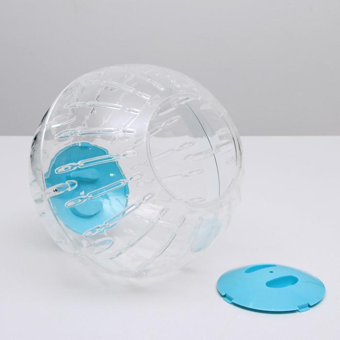 Шар для грызунов Carno, 33 см, микс цветов