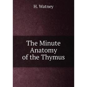 

Книга The Minute Anatomy of the Thymus