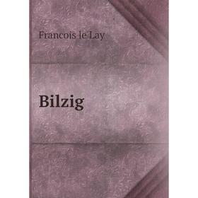

Книга Bilzig