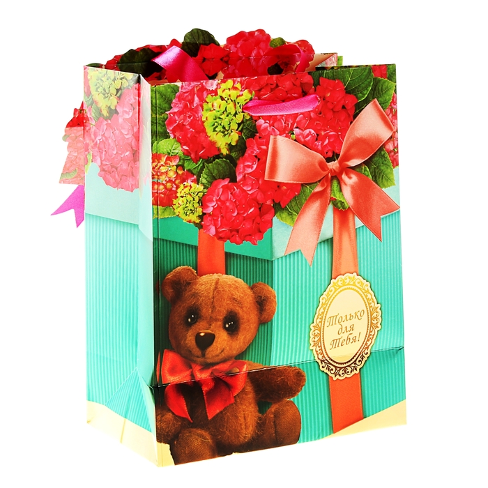 Пакет ламинированный с открыткой и тиснением «Подарок», MS 18 × 23 × 8 см