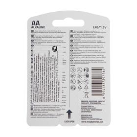 

Батарейка алкалиновая Tesla Toys Girl, AA, LR6-4BL, 1.5В, блистер, 4 шт.