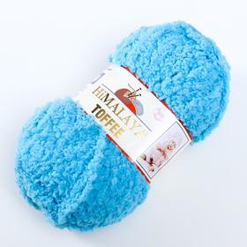 

Пряжа "Toffee" 100% полиэстер 85м/50гр (73513)