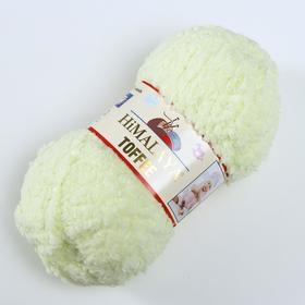 

Пряжа "Toffee" 100% полиэстер 85м/50гр (73503)