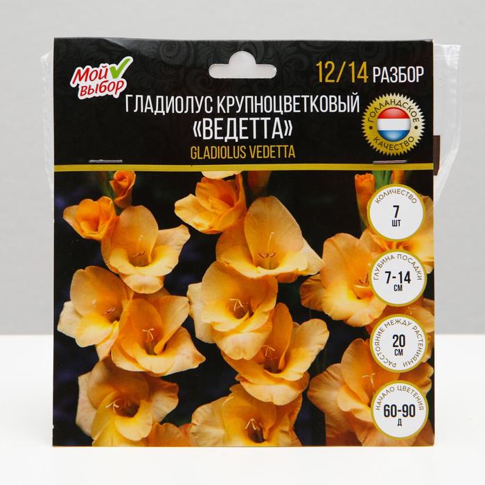 Гладиолус Крупноцветковый Ведетта р-р 1214 7 шт 65₽