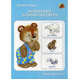 

Животные крайнего севера. Набор карточек