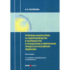 

Проблемы защиты права на судопроизводство в разумный срок в гражданском и арбитражном процессах в РФ: Монография. 2-е издание, переработано. Белякова