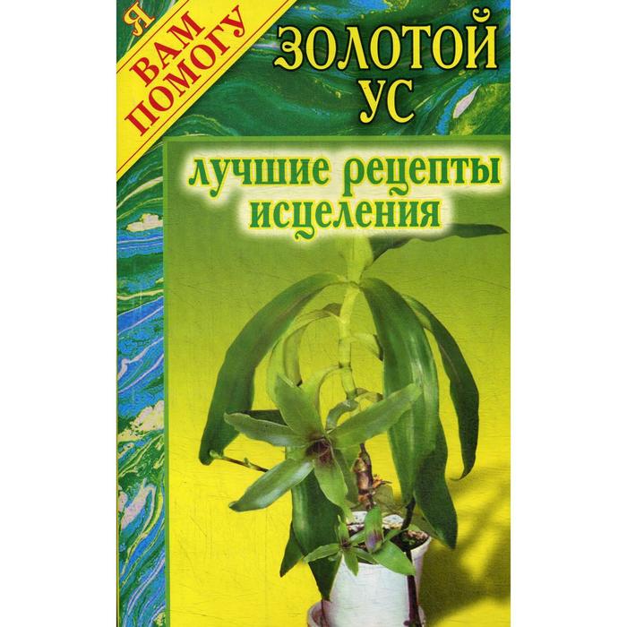 

Золотой ус: лучшие рецепты исцеления