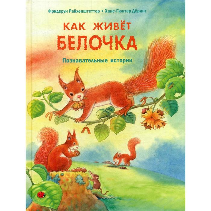 фото Как живет белочка. познавательные истории. райхенштеттер ф. энас-книга