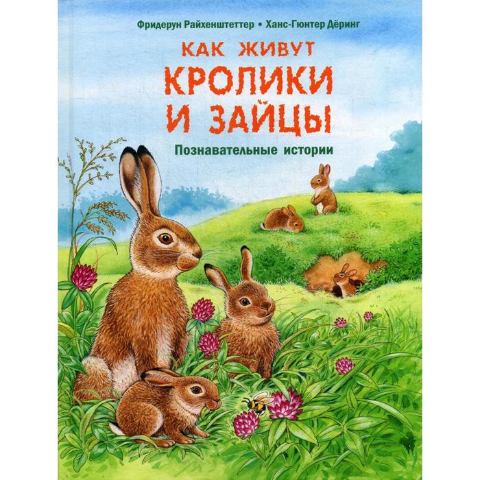 фото Как живут кролики и зайцы. познавательные истории. райхенштеттер ф. энас-книга