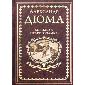 

Кобольды старого замка: сказки и легенды. Дюма А.
