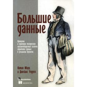

Большие данные: принципы и практика построения масштабируемых систем обработки данных в реальном времени. Марц Н., Уоррен Дж.