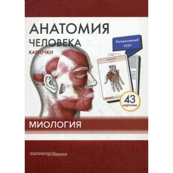 Анатомия человека: карточки (43 шт). Миология: Учебное пособие. Сапин М.Р., Николенко В.Н., Тимофеева М.О. сапин михаил романович николенко владимир николаевич тимофеева м о анатомия человека карточки миология