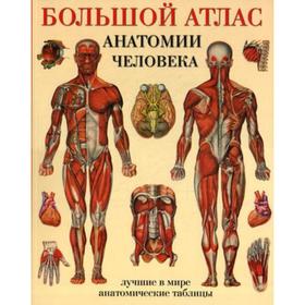 

Большой атлас анатомии человека