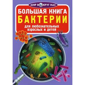 

Большая книга. Бактерии. Для любознательных взрослых и детей. Котка А.