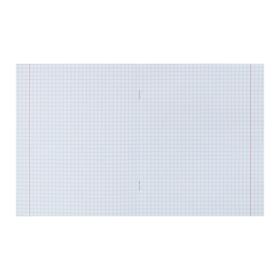 

Тетрадь 12 листов в клетку «Забавные котики», обложка мелованный картон, блок офсет, МИКС