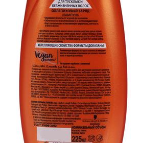 

Шампунь Schauma «Облепиховый заряд», 225 мл