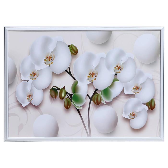 Картина "Белая орхидея" 50х70(53х73) см