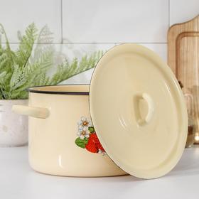 

Кастрюля Эмаль, 3 л, цвет палевая, деколь МИКС