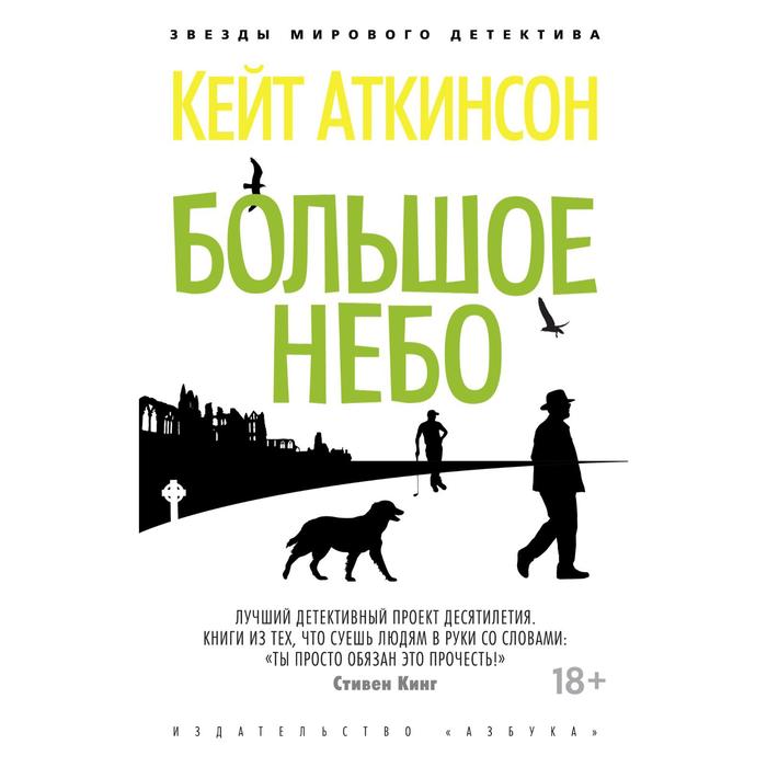 

Большое небо. Аткинсон К.