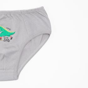 

Трусы для мальчика, цвет серый/дино, рост 116-122 см (30)