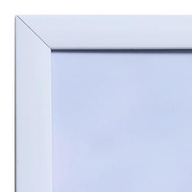 

Картина "Птицы у моря" 60х100(65х105) см
