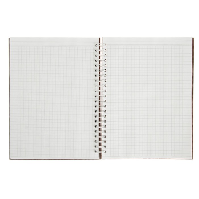 Тетрадь 100 листов клетка на гребне RUS