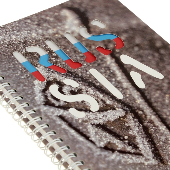 Тетрадь 100 листов клетка на гребне RUS