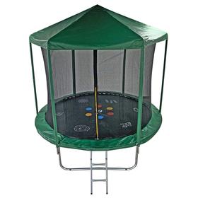 

Батут SportElite HOME с принтом, 10FT, d=3,05 м, с защитной сеткой, крышей и лестницей, FR-30-10FT