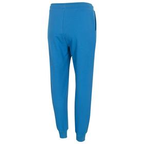 

Брюки 4F WOMEN'S KNITTED TROUSERS, размер L EUR (H4Z20-SPDD016-33S)