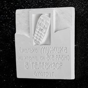 

Фигура под роспись "Сколько мужика не корми" 10х10х1см