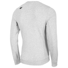 

Джемпер 4F MEN'S SWEATSHIRTS, размер XXL (NOSH4-BLM001-27M)
