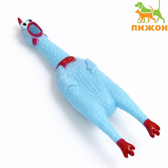 

Игрушка пищащая "Задумчивая курица" для собак, 28 см, голубая