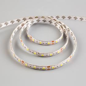 

Комплект светодиодной ленты URM 3 м, IP65, SMD5050, 60 LED/м, 12 В, 6500К
