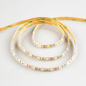 

Комплект светодиодной ленты URM, 5050, 60 LED/м, 14.4 Вт/м, 12В, IP20, 6500К, 5 м, DIM