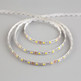 

Светодиодная лента URM, 12В, SMD5050, 5 м, IP22, 14.4Вт/м, 60 LED/м, 4000К