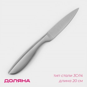 Нож кухонный Доляна Salomon, овощной, лезвие 9,5 см