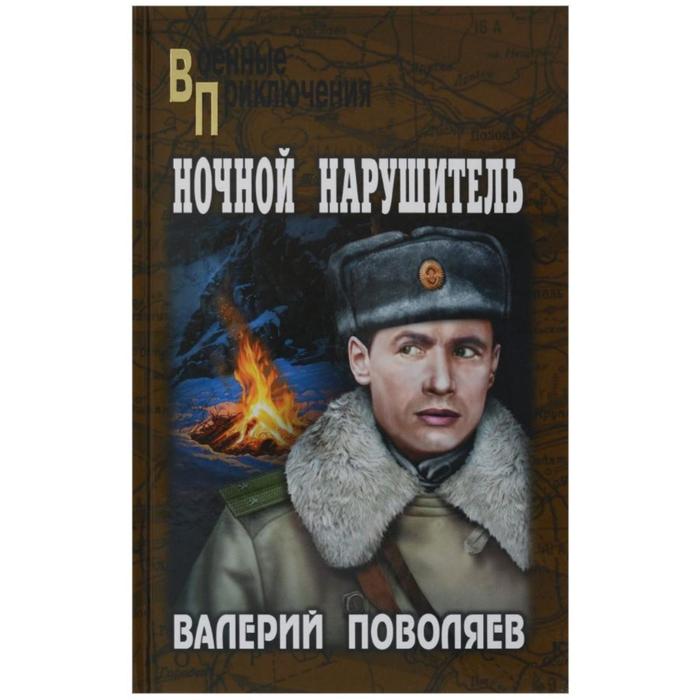 

Ночной нарушитель. Поволяев В.Д.