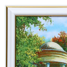

Картина "Лебеди в парке" 25х35(28х38) см