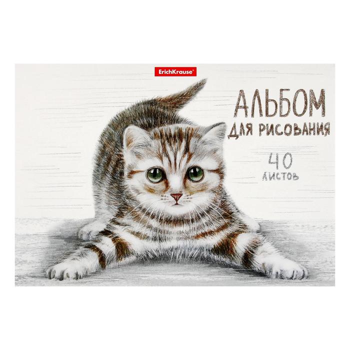 

Альбом для рисования А5, 40 листов на клею Table, обложка мелованный картон, жёсткая подложка, блок 120 г/м2