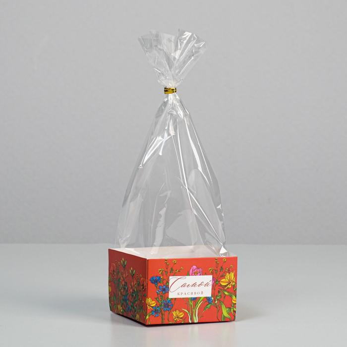 Пакет с коробкой «Самой красивой», 9 × 9 × 6 см