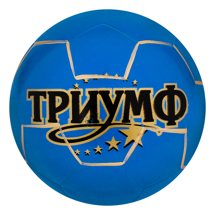 Мяч лакированный, диаметр 200 мм, цвета МИКС