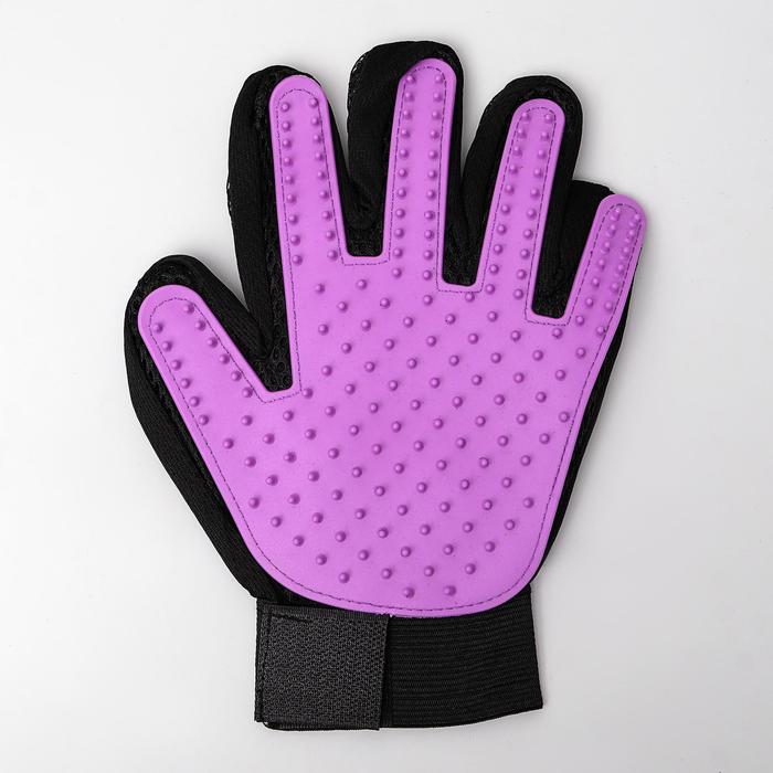 фото Перчатка-щетка для шерсти на левую руку из неопрена с удлиненными зубчиками, фиолетовая пижон