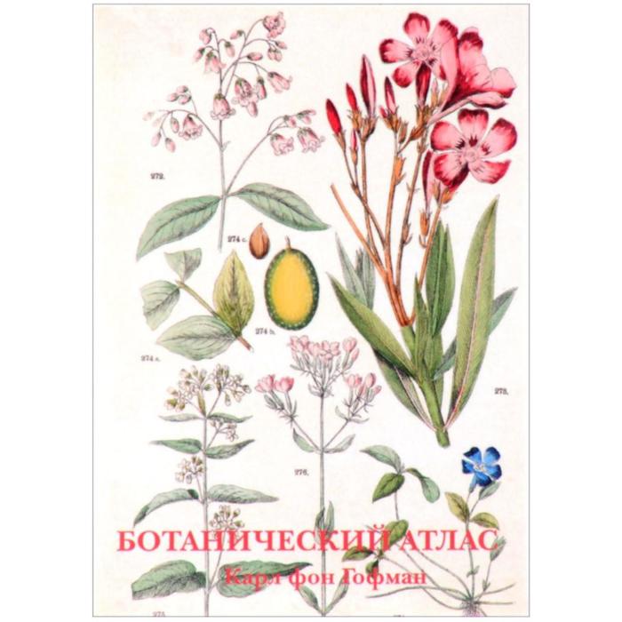 Ботанический атлас. фон Гофман К. ботанический атлас карл фон гофман набор открыток