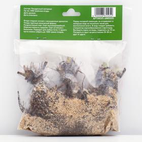 

Саженец Земляники ФРИГО Тея (Tea) А (9-15 мм), 5 шт