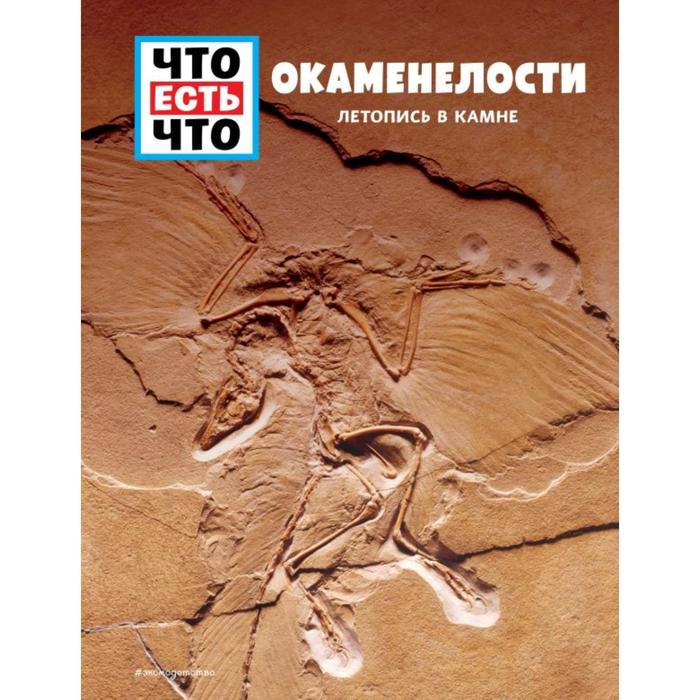 

ОКАМЕНЕЛОСТИ. Летопись в камне. Баур М.