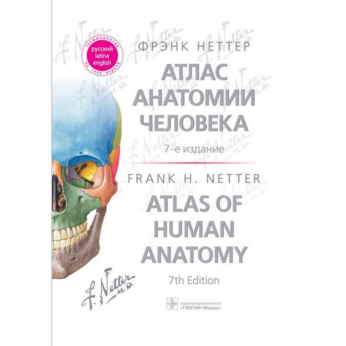 Foreign Language Book. Атлас анатомии человека. 7-е издание. Неттер Ф.